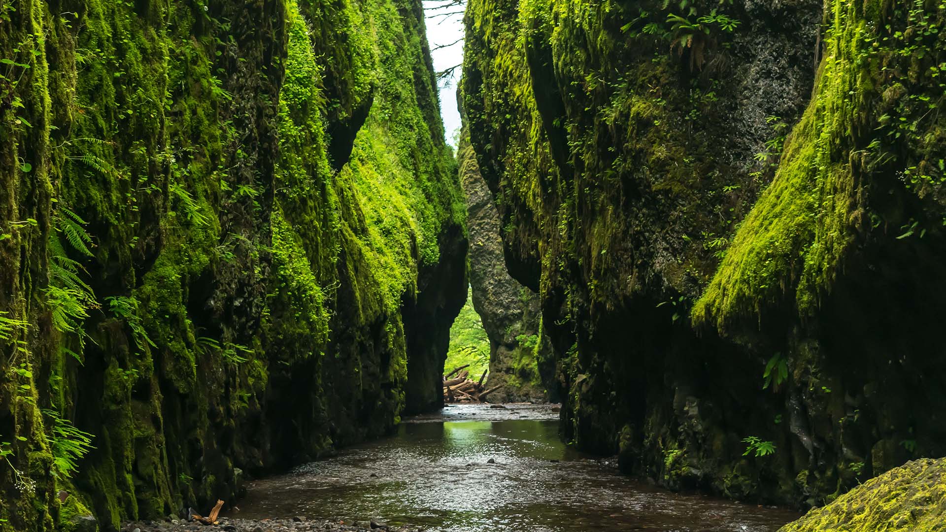 Seven Unconventional Knowledge About Nature That You Can’t Learn From Books